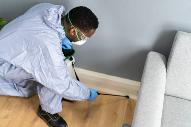 Trusted Lynbrook, NY Pest control Experts